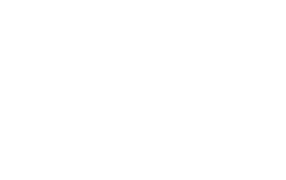 Sylter Welle Logo